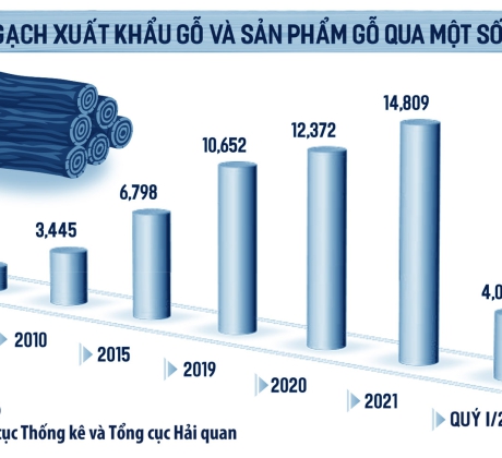 Ngành gỗ đối mặt với bài toán thiếu vùng nguyên liệu